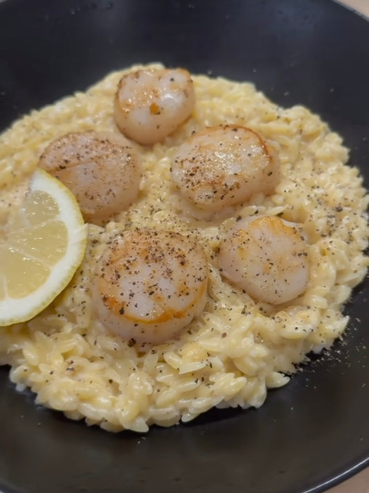 Risoni cremoso com vieiras